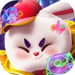 Sımple offlıne Game rabbit