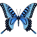 Click on the butterfly