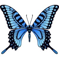 Click on the butterfly