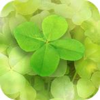 7Leaf