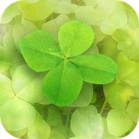 7Leaf