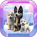 Puppy Connect Plus