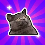 Animal Meme Simulator 85 Meow2