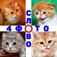 4 Фото 1 Слово. Где логика?