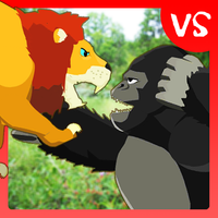 Lion Fights Gorilla