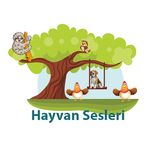 Eğitici Ve Öğretici Hayvan Ses