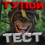 Насколько ты тупой?! ТЕСТ