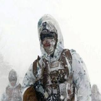 Stalker Adventure (Arctic Cata