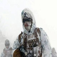 Stalker Adventure (Arctic Cata