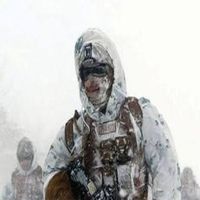 Stalker Adventure (Arctic Cata