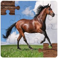 Horse Jigsaw Puzzles Game Kids