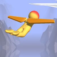 Fly Race