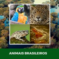 Animais Brasileiros