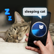 What Do Cats: Joke Radar
