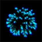 Blue Fireworks