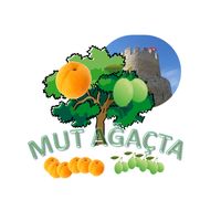 Mut Ağaçta