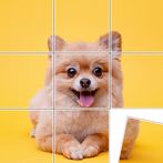Jigsort Puzzle Game