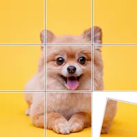 Jigsort Puzzle Game
