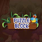 Puzzle Block