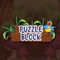 Puzzle Block