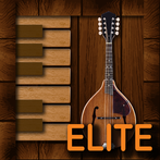 Professional Mandolin Elite