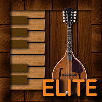 Professional Mandolin Elite
