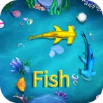Lucky Gold Fish