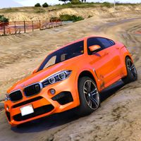 X6m: Simulator BMW Speed Racer