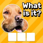 Zoom Quiz Game: Guess The Pics