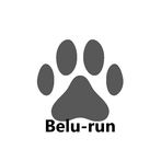 Belu-run