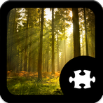 Forest Jigsaw Puzzle