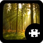 Forest Jigsaw Puzzle
