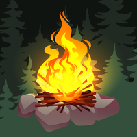 The Camper:Wilderness Survival