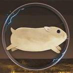 Hamst: Idle Game