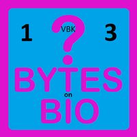 BoB Quiz 1VBK3