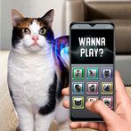 Translator from cats to human
