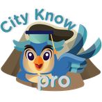 City Know Pro 2 IM