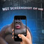 NFT Monke Screenshot