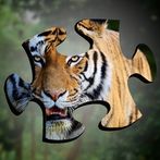 Tiger Jigsaw Puzzles HD - Big