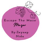 EscapeTheMaze