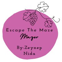 EscapeTheMaze