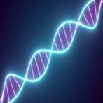 Radiate The Dna