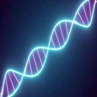 Radiate The Dna