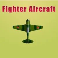 Fighter Aircraft