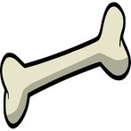 Biyoloji Yarışması