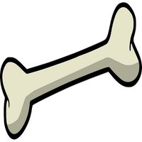 Biyoloji Yarışması