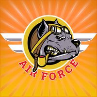 air force war