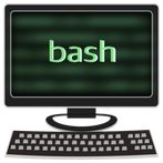 Bash Quiz LITE