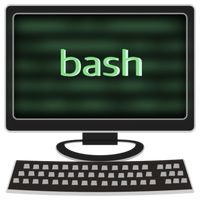 Bash Quiz LITE