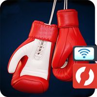 Box Fighter Viewer